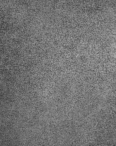 Jean DUBUFFET - Prairie de Barbe, 1960 - Sérigraphie 2
