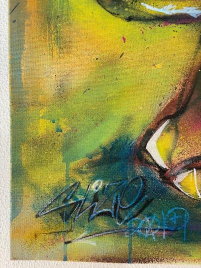 Dr. Slice Rhinoceros street Style Technique mixte Spray sur toile et Aérographe 2