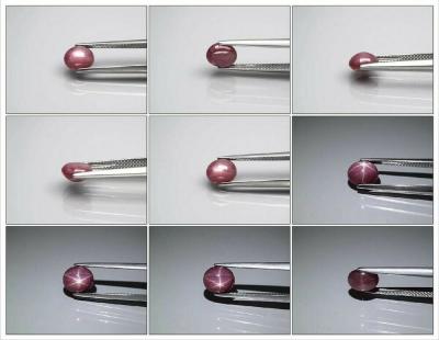 2,39 carats. Rubis étoilé rouge naturel 2