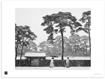 Werner BISCHOF - Cour du sanctuaire Meiji à Tokyo, 1951 - Affiche 2