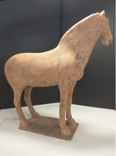 Chine, époque Tang - Cheval. Terre cuite 2