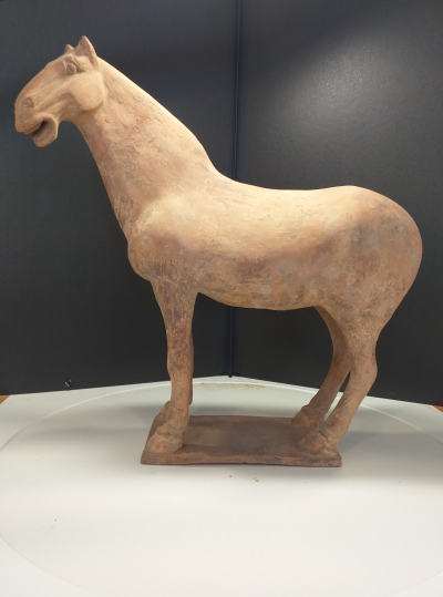 Chine, époque Tang - Cheval. Terre cuite 2