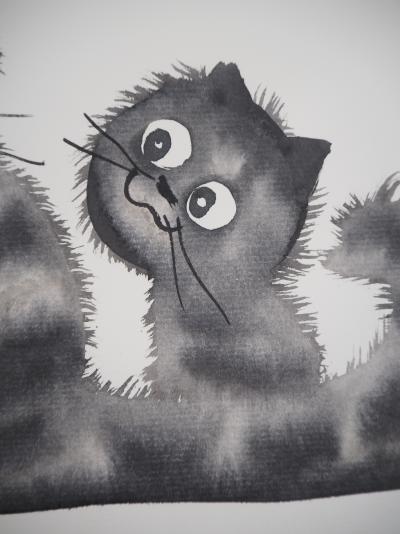 Laszlo TIBAY - Chat calme et chaton malicieux - Dessin original, signé 2
