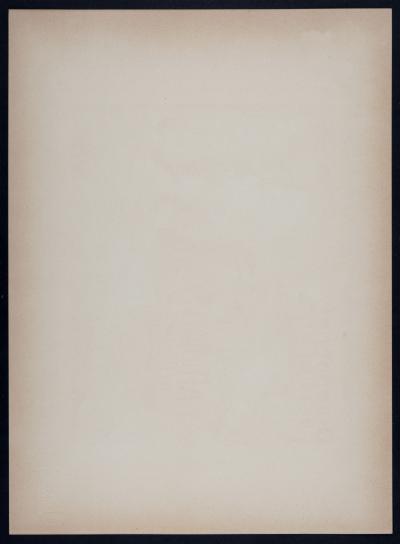 Jules CHERET - Les Maîtres de l’Affiche : Fête des Fleurs, 1897 - Lithograph 2