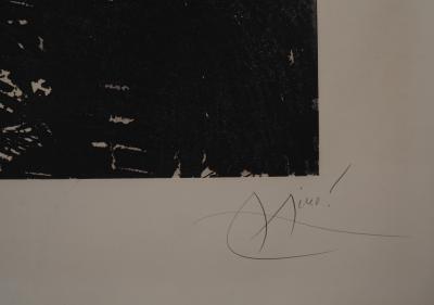 Joan Miro - Les Hirondelles, 1973 - Gravure originale, Signée au crayon 2