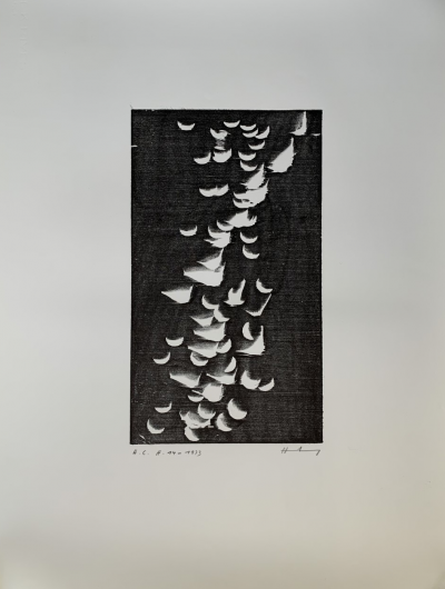 Hans HARTUNG  - Holzschnitt auf Bütten H-14, 1973 - Bois gravé signé 2