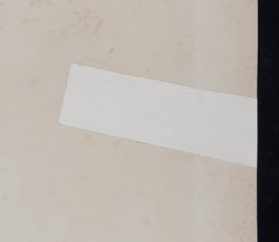 Edouard BISSON - Portrait d’élégante, c. 1900 - Decorative lithograph panel 2