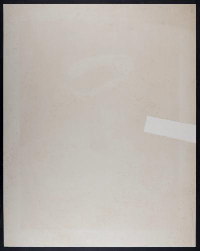 Edouard BISSON - Portrait d’élégante, c. 1900 - Decorative lithograph panel 2