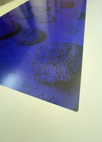 Yves Klein (d’après) - Relief Eponge RE15, 2000 - Affiche 2