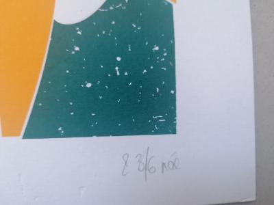 Noémie VARET - Renard vert, 2021 - Lithographie 2