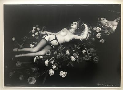 Nude Porn Enzo By Jean Le Photographe