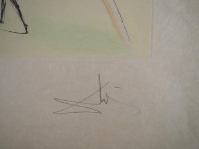 Salvador Dali - Le Singe et le Léopard, 1974 - Gravure originale signée 2