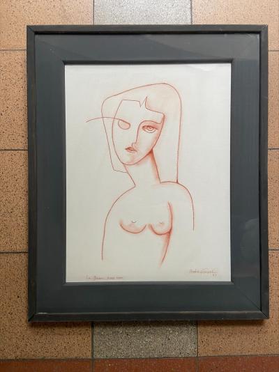 La dame sans nom - André Ferrand 2