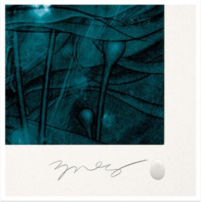 James Jean - LA FORME DE L’EAU - Impression 2