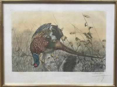 Léon DANCHIN - Griffon rapportant un faisan, vers 1920 - Gravure originale signée 2