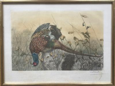 Léon DANCHIN - Griffon rapportant un faisan, vers 1920 - Gravure originale signée 2