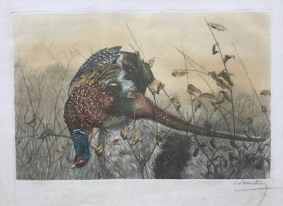 Léon DANCHIN - Griffon rapportant un faisan, vers 1920 - Gravure originale signée 2