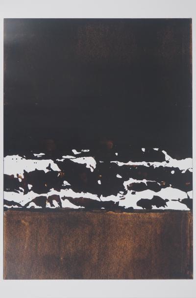 Pierre SOULAGES (d’après) - Brou de noix 1999 - Affiche originale Musée Soulages 2