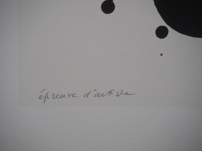 Pierre SOULAGES (d'après) - Lithographie 29 - Affiche originale Musée Soulages 2