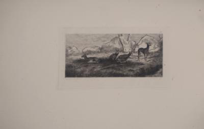 Georges MICHEL (d’après)  -Biches et daims,1873 - Gravure, signée 2