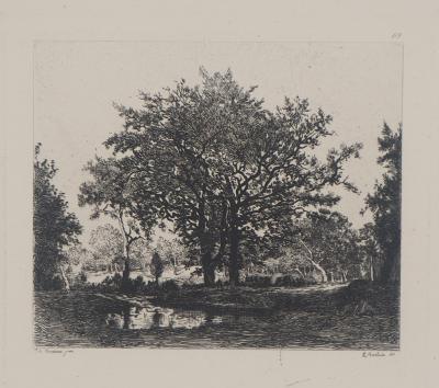 Théodore ROUSSEAU (d’après) - Mare et chênes,1873 - Gravure 2