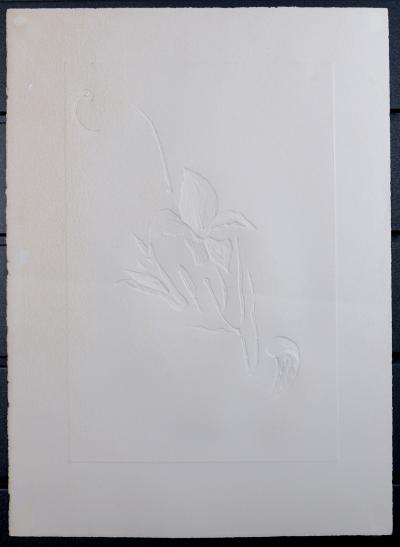 Salvador DALI - Hemerocallis thumbergii elephanter furiosa, 1972 - Gravure originale, Pointe sèche & Héliogravure avec gaufrage 2