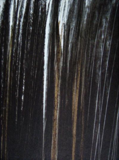 Hans HARTUNG (d'après) - Pastel P.1960-76, 1961 - Lithographie offset signée 2