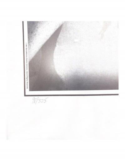 George Barris - Feelin the Surf, Santa Monica Beach - Photolithographie 2