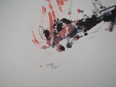Paul REBEYROLLE - Les Mains : Corbeau saisi en vol - Lithographie originale, signée au crayon 2