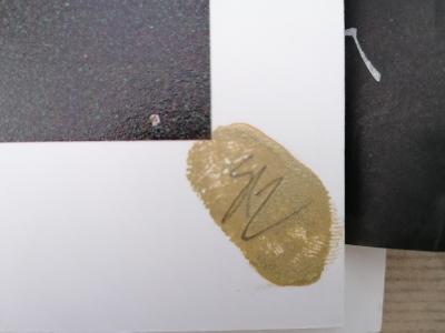 Steve Lazarides - For Your Own Good, 2000 - Numbered and signed photo 2