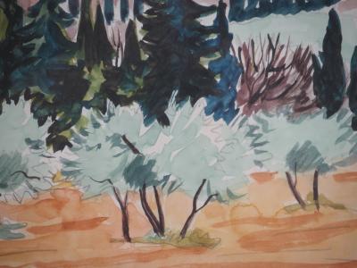 Yves BRAYER : Provence : Vieux moulin et Oliviers dans les Alpilles - Aquarelle originale signée 2