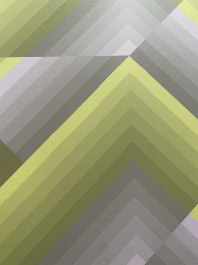 Jim Bird - tribute to Vasarely 2