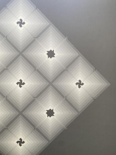 Jim Bird - tribute to Vasarely 2