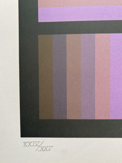 Jim Bird - tribute to Vasarely 2