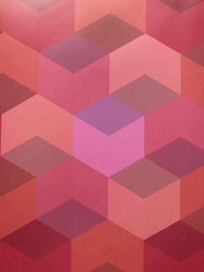 Jim Bird - tribute to Vasarely 2