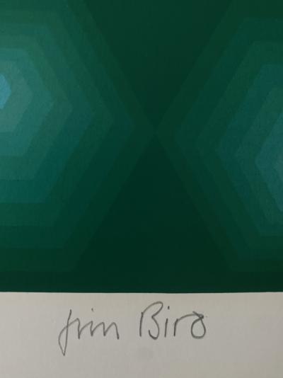 Jim Bird - tribute to Vasarely 2