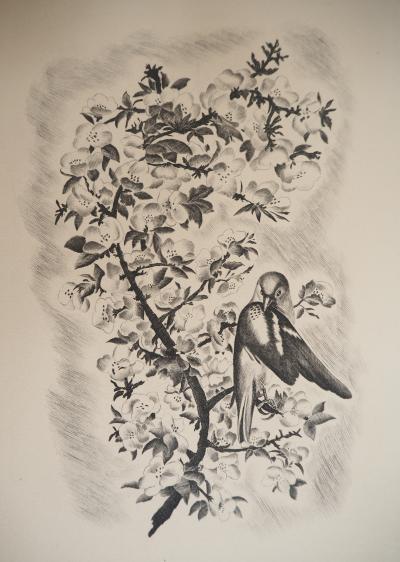 Jean Baptiste TAVY NOTTON - Mésange sur un cerisier en fleurs - Gravure originale 2
