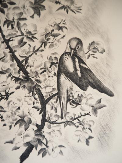 Jean Baptiste TAVY NOTTON - Mésange sur un cerisier en fleurs - Gravure originale 2