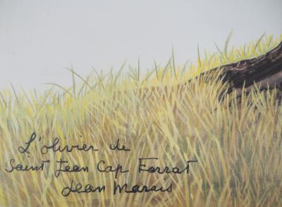 Jean MARAIS - L’Olivier de Saint Jean Cap Ferrat - Lithographie signée 2