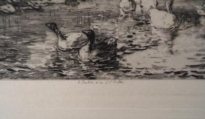 Jean François MILLET (d’après) - Canards à la mare,1873 - Gravure, signée 2