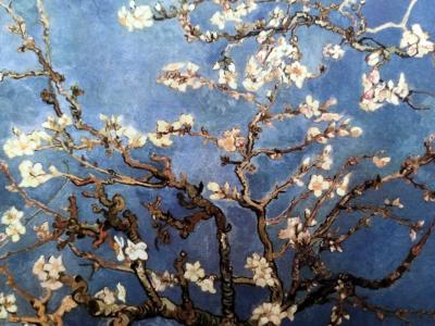 Vincent van Gogh (1853-1890), after - Amandier en fleurs 2