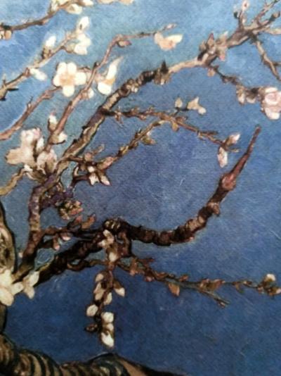 Vincent van Gogh (1853-1890), after - Amandier en fleurs 2