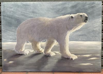 André Ferrand - L’Ours sur la banquise 2