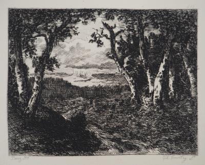 Narcisse DIAZ de la PENA - Forêt de Fontainebleau - Gravure, Signée #Durand Ruel - 1873 2