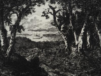 Narcisse DIAZ de la PENA - Forêt de Fontainebleau - Gravure, Signée #Durand Ruel - 1873 2