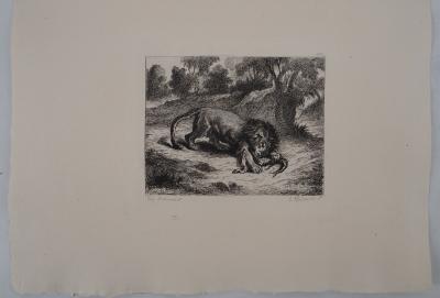 Eugène DELACROIX (d’après) : Lion et caïman, Gravure, Signée #Durand Ruel, 1873 2