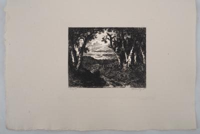 Narcisse DIAZ de la PENA : Forêt de Fontainebleau - Gravure, Signée #Durand Ruel - 1873 2