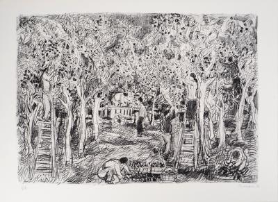 André COTTAVOZ - Cueillette estivale à Vallauris, vers 1976 - Lithographie originale, signée 2