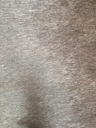 Trussardi - Pouf mobile - Cuir bicolore 2