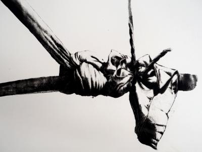 TITUS-CARMEL - Noeuds, agrès et tiges, 1977 - Pointe sèche originale, signée 2